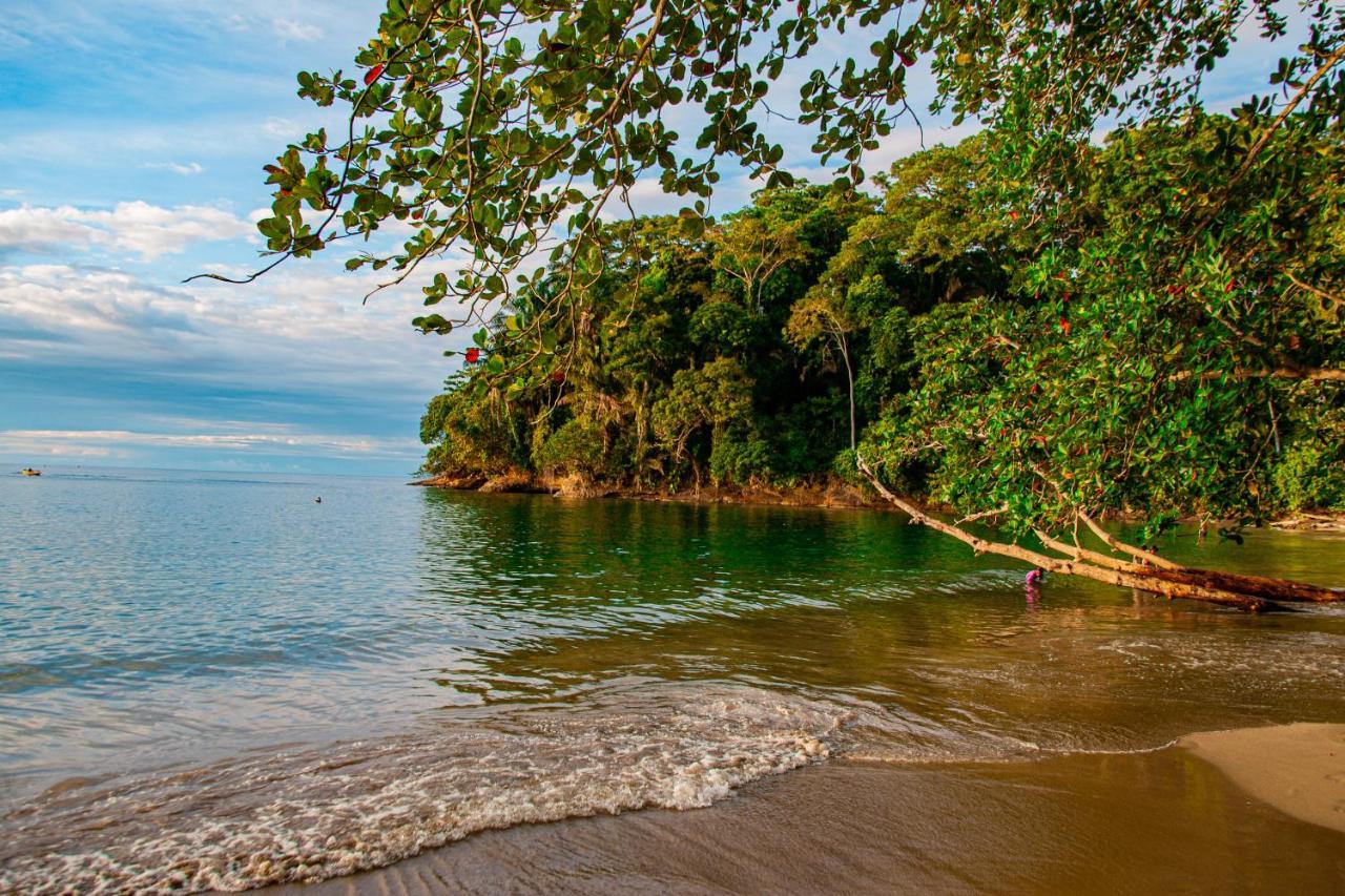 Bambutel Cocles Hotel Puerto Viejo de Talamanca Kültér fotó